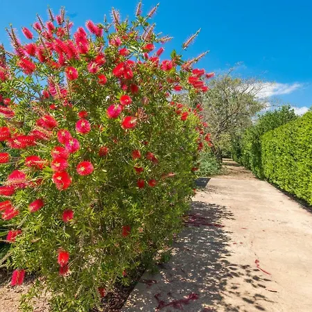 Villa Ca Na Sioneta *
